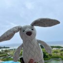 아엠투어