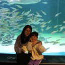 아천초등학교유치원 이미지