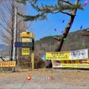 팔송정식당 이미지