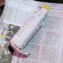 서울기름집 &#39;중앙기름&#39; 들기름 후기, 들기름 보관방법