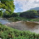 천등농장 이미지