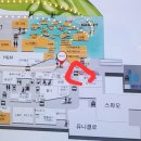 안성스타약국 이미지