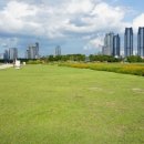 대숲속으로 이미지