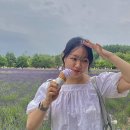 Sapporo, 어리고 부끄럽고 바보같은 내 여행 | 3박 4일 삿포로 여행🧳 3 (후라노-비에이 편)