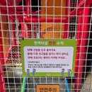 국립어린이과학관 솔직후기 종로가볼만한곳