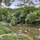 엄소리오토캠핑장 이미지