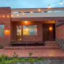 브로콜리삼춘 이미지