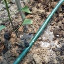 삼익농원 이미지