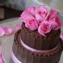 생활영어 회화 이미지