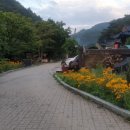 별님이네민박 이미지