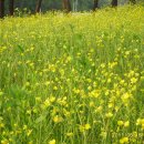 솔밭농장 이미지