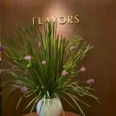 (주)체리센스 이미지