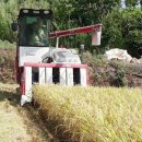 강진6호 이미지