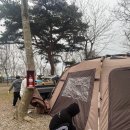 서해안오토 이미지