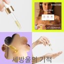 버든농장 이미지