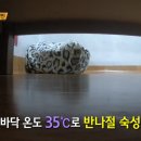 주걱수제비 이미지