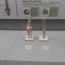 을지대학교 범석의학박물관 이미지