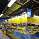 중앙상회 | 강릉 중앙시장 대방어 유성상회 횟집에서 회포장 후기