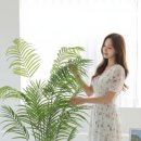 아주카인테리어 네이버블로그