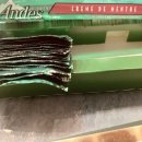 스탠다드옵티크 이미지