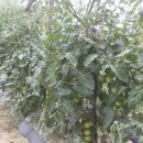 희식농장 이미지