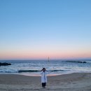 스테이 서린 | 묵호 여행 후기(1일차)