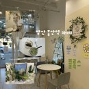 증산1길 | 양산 증산 카페 플록스 | 분위기 좋은 디저트맛집, 케이크가 예쁜 감성카페
