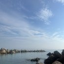 장호항팬션바다여울 | 삼척 숙소추천- “장호항펜션 바다여울” 내돈내산 후기