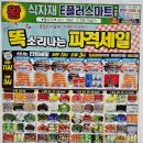이플러스24 이미지