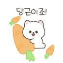 명품세탁플러스
