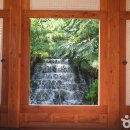 담쟁이 작은도서관 이미지