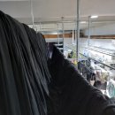 중앙세탁 이미지