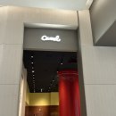 현대백화점 부천중동점 | 카멜커피 부천 현대백화점 중동점 그랜드오픈! 방문후기