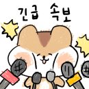 더담식문화자원연구소 이미지