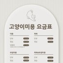 오묘고양이카페&호텔&미용