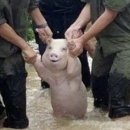 힐링쇼핑 이미지
