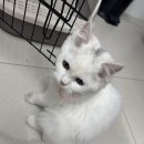 지에스25 태안마검포점