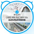 송금녹색농촌체험마을 이미지