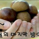 마지막밤 이미지