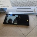 도담동물병원 이미지