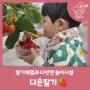 다은딸기 이미지