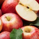 늘푸른축산 이미지