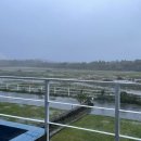 팜팜스테이 이미지