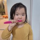 하단어린이집 | 어린이집 준비물 어린이칫솔 부드러운 실크 예꼬맘 유아칫솔 사용후기