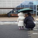 아진동물병원 이미지