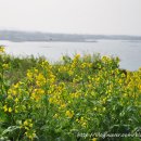 만물민박 이미지