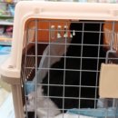 행담 동물병원 이미지