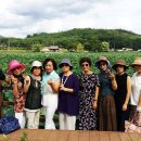 레드피아노 이미지