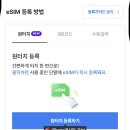 중국 상하이 이심 로밍도깨비 후기 (용량 추천/사용법/속도 비교 결과)