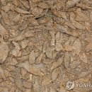 호수환경(주) 이미지